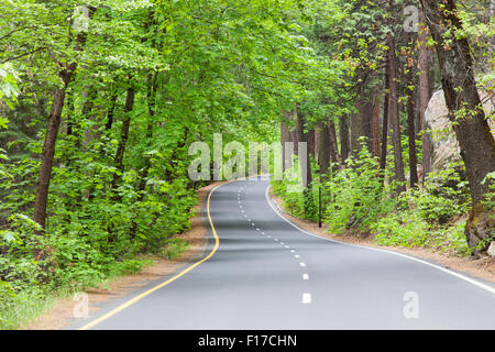 La conduite dans la vallée Yosemite, Yosemite National Park, California, USA Banque D'Images
