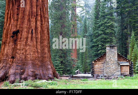 Le Mariposa Grove Museum, Yosemite National Park, California, USA Banque D'Images