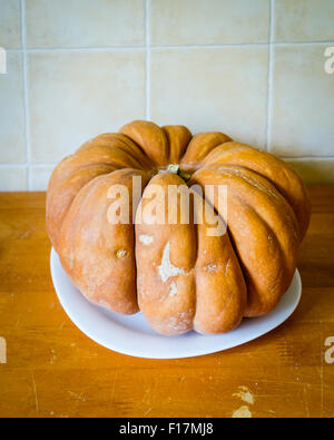 Musquee de Provence Citrouille, courge Cucurbita moschata, hiver home grown. Banque D'Images