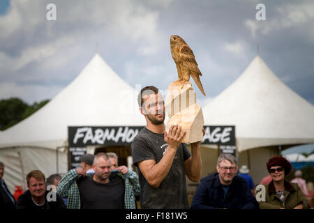 Knutsford, Cheshire, Royaume-Uni. Août 29, 2015. Danny Thomas porte son oiseau de proie durant la compétition de sculpture de vitesse au 11e Concours de sculpture à la tronçonneuse English Open Crédit : John Hopkins/Alamy Live News Banque D'Images