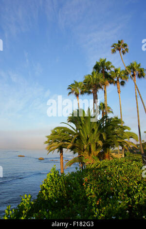 Matin plage le long de la côte de Californie Banque D'Images