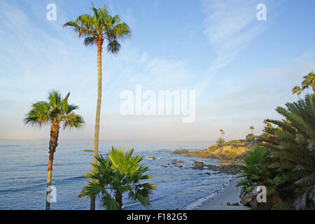 Matin plage le long de la côte de Californie Banque D'Images