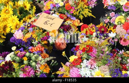 Bouquets de fleurs colorées, marché des producteurs, de l'Allemagne. Banque D'Images