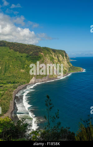 Vallée Waipio et plage et l'Hamakua Coast de la vallée Waipio Lookout ; île de Hawaii. Banque D'Images