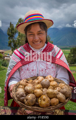 Femme Quechua holding panier de pommes de terre et de porter des vêtements traditionnels et hat dans Misminay Village, Vallée Sacrée, le Pérou. Banque D'Images