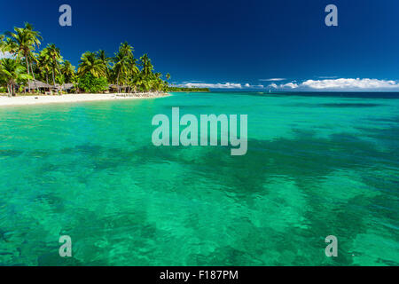 Île tropicale à Fidji avec plage de sable et l'eau avec coral Banque D'Images