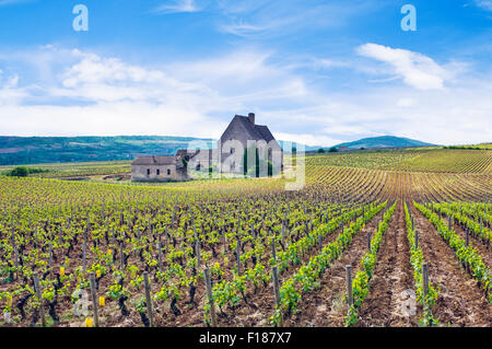 L'Abbaye de Morgeot Chassagne-Montrachet et de vignobles dans la région de la Côte de Beaune, bourgogne, france Banque D'Images