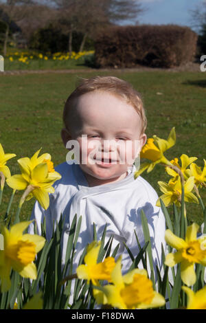 Bébé garçon âgés de 9 mois assis sur l'herbe à la recherche de jonquilles portant costume blanc Pays de Galles UK Banque D'Images