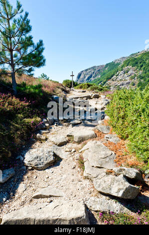 Les Gorges de Colombieres, près de la Fage gite, Hérault, Languedoc Roussillon, France Banque D'Images