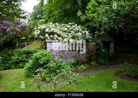 Une dépendance avec toit couvert ombragé par une plante grimpante à Docton Mill Garden, près de Hartland, North Devon, England, UK Banque D'Images