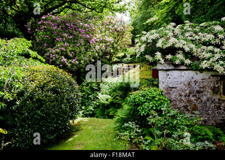 Une dépendance avec toit couvert ombragé par une plante grimpante à Docton Mill Garden, près de Hartland, North Devon, England, UK Banque D'Images