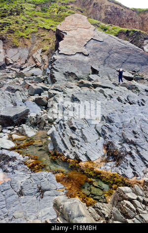 Des morceaux de rock strata sur l'estran à Hartland Quay, North Devon, England, UK Banque D'Images