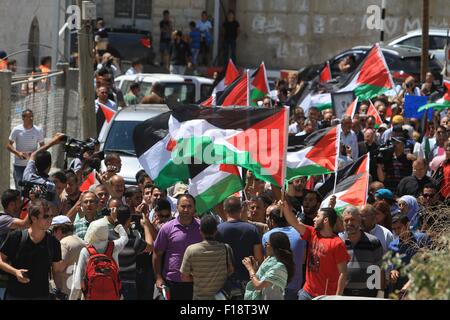 (150830) -- Beit Jala, 30 août 2015 (Xinhua) -- les Palestiniens prennent part à une manifestation contre l'armée israélienne le déracinement pelles d'oliviers qui font leur chemin pour Israël la controversée barrière de séparation, dans la ville cisjordanienne de Beit Jala, près de la colonie juive de Gilo, 30 août 2015. (Xinhua/Luay Sababa) (djj) Banque D'Images