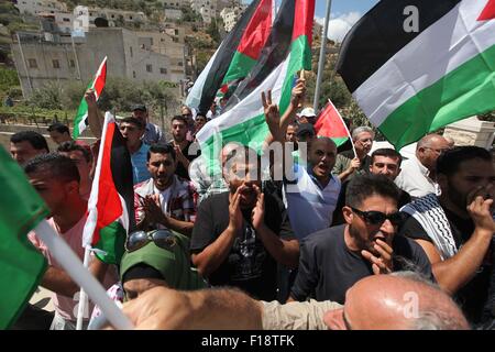 (150830) -- Beit Jala, 30 août 2015 (Xinhua) -- les Palestiniens prennent part à une manifestation contre l'armée israélienne le déracinement pelles d'oliviers qui font leur chemin pour Israël la controversée barrière de séparation, dans la ville cisjordanienne de Beit Jala, près de la colonie juive de Gilo, 30 août 2015. (Xinhua/Luay Sababa) (djj) Banque D'Images