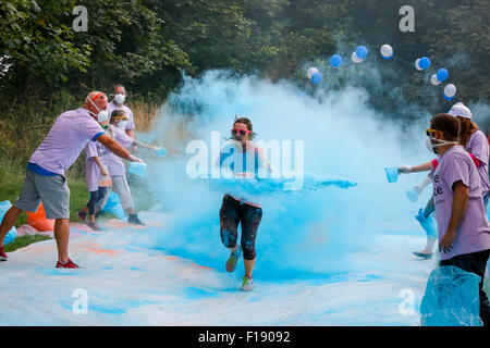 Kilwinning, Ayrshire, Scotland, UK. Août 30, 2015. Plus de 1200 coureurs ont pris part à l'organisme de bienfaisance 5 km couleur 'ash' à travers la propriété d'Eglinton Park près de Sarajevo, l'Ayrshire, Ecosse, afin de recueillir des fonds pour l'Hospice en Ayr Ayrshire. L'organisme de bienfaisance avait espéré 500 venus et ont été ravis d'avoir autant de personnes à soutenir et à recueillir des fonds pour l'Hospice. Credit : Findlay/Alamy Live News Banque D'Images