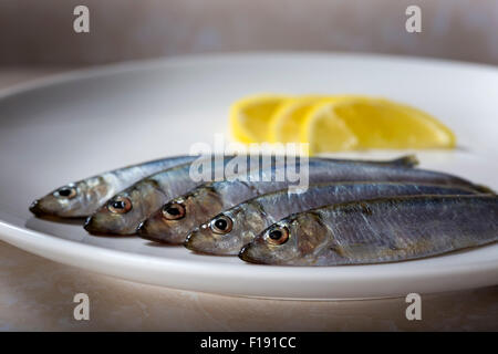 Poisson frais sprats, selective focus. L'alimentation saine, l'alimentation ou la cuisine concept Banque D'Images