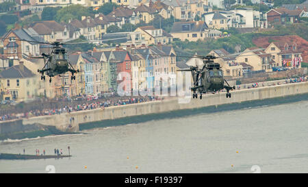 Sea King de la Royal Navy HC MK4 font leur dernière apparition à Exmouth Air Show en 2015 Banque D'Images