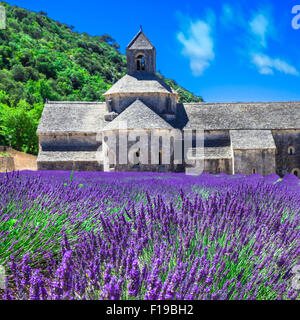 Abbaye de Sénanque avec bloming lavande en Provence, France Banque D'Images