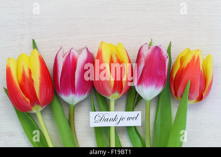 Dank je wel (ce qui signifie merci en néerlandais) avec tulipes colorées Banque D'Images