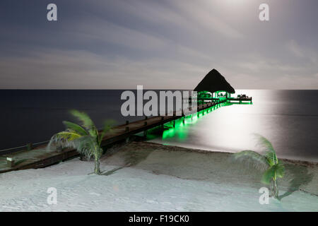 Une longue exposition d'une plage avec un dock et de petits palmiers éclairé par la lune et les feux verts sous le quai. Banque D'Images