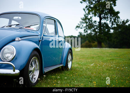 Voiture Volkswagen VW Beetle bleu vintage dans un domaine de herbe et fleurs Banque D'Images