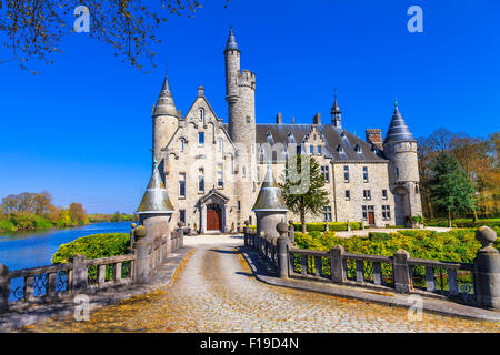 Beau château médiéval de Marnix de Sainte Aldegonde à Bornem, Belgique Banque D'Images