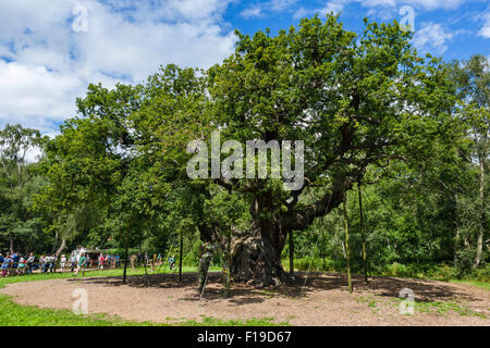 La célèbre Major Oak, Sherwood Forest Country Park, près de Lincolnshire, Angleterre, Cropton UK Banque D'Images