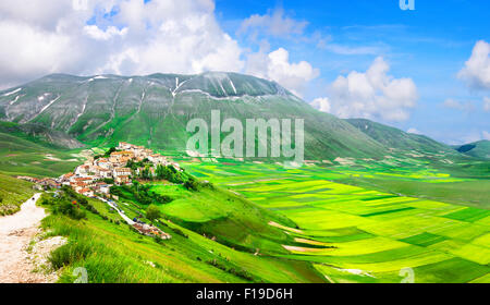 Les champs en fleurs dans les montagnes Sibilini et hill top village Castelluccio di Norcia Banque D'Images