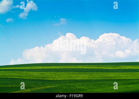 Les champs agricoles au printemps avec cumulus humilis nuages allemagne europe Banque D'Images