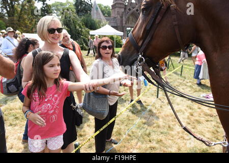 New York City, United States. Août 30, 2015. Petite fille rss carotte pour la reconstitution médiévale's horse. Le 239e anniversaire de la bataille de Brooklyn a été refait au Vert-bois cimetière de Brooklyn. Credit : Andy Katz/Pacific Press/Alamy Live News Banque D'Images