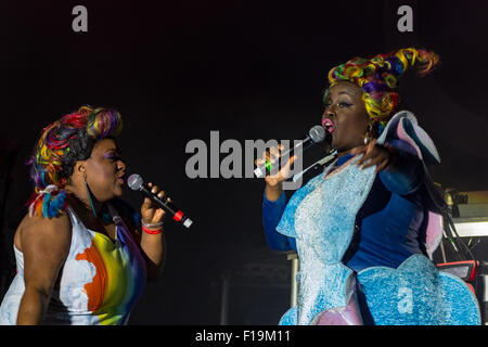 Portsmouth, Royaume-Uni. Août 29, 2015. Tryo au Festival victorieux Portsmouth 290815 Crédit : James Houlbrook/Alamy Live News Banque D'Images