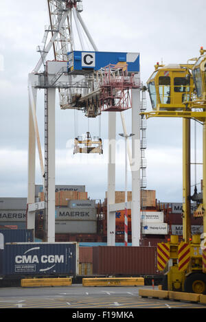 WELLINGTON, Nouvelle-Zélande, le 27 juillet 2015 : grues sont prêts à décharger un navire porte-conteneurs à Wellington, Nouvelle-Zélande Banque D'Images