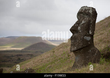 La carrière, Rano Raraku, île de Pâques Rapa Nui aka, au Chili. Site historique, colline volcanique où étaient sculptés Les Moaïs. Banque D'Images