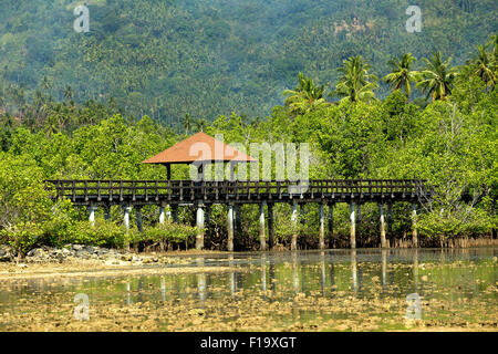 Paysage traditionnel indonésien et de mangrove walkway, Sulawesi, Manado, Indonésie Banque D'Images