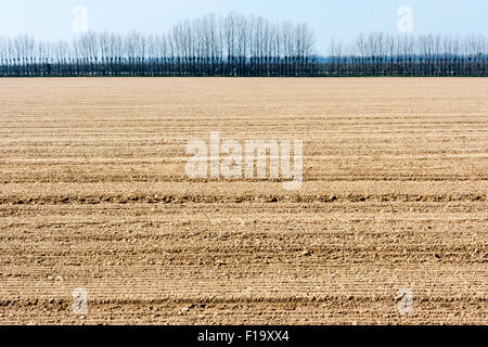 Champ labouré de sillons terre brune avec horizontalement avec rangée de stark bear arbres sans feuilles à l'horizon contre couvert ciel gris. Banque D'Images