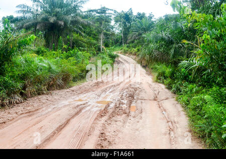 Route de terre en Côte d'Ivoire Banque D'Images
