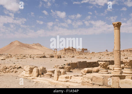 Palmyra, Syrie - 2e siècle ruines romaines. UNESCO World Heritage Site. Crédit obligatoire Jo Whitworth Banque D'Images