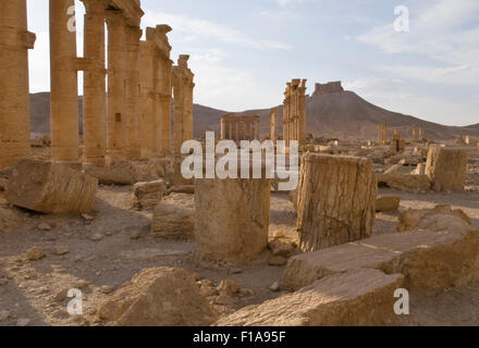 Palmyra, Syrie - 2e siècle ruines romaines. UNESCO World Heritage Site. Crédit obligatoire Jo Whitworth Banque D'Images