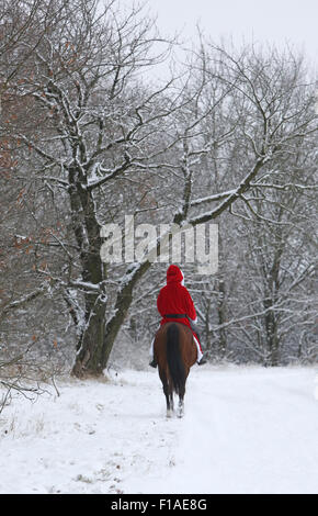 Koenigs Wusterhausen, Allemagne, le Père Noël à cheval sur un cheval dans la neige Banque D'Images