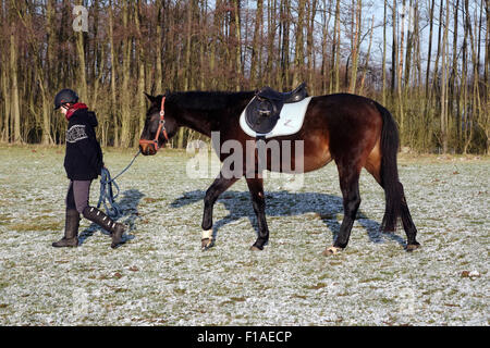 Nouveau Kätwin, Allemagne, girl effectue son cheval sellé Banque D'Images