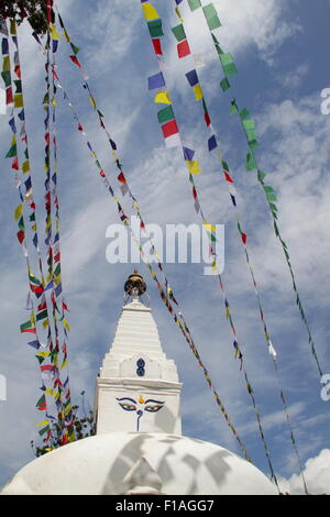 Swayambhu temple aux singes à Katmandou Banque D'Images