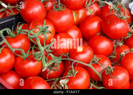 Arrière-plan avec fresh red tomatoes in market Banque D'Images