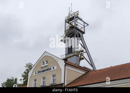 Puits de Damilowicza (Szyd Damilowicza) , mine de sel de Wieliczka, Kopalnia Soli, près de Cracovie, Pologne Banque D'Images