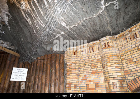 Puits de Damilowicza, (Szyd Damilowicza), mine de sel de Wieliczka, Kopalnia Soli, près de Cracovie, Pologne Banque D'Images