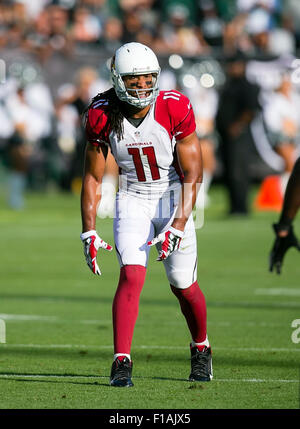 Oakland, CA. Août 30, 2015. Arizona Cardinals wide receiver Larry Fitzgerald (11) en action au cours de la NFL football match entre les Oakland Raiders et les Arizona Cardinals à l'O.co Coliseum à Oakland, CA. Les Cardinaux défait les Raiders 30-23. Damon Tarver/Cal Sport Media/Alamy Live News Banque D'Images