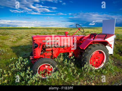 Tracteur vintage rouge, Farmall D-217, Oldtimer, dans un champ, l'Islande Banque D'Images