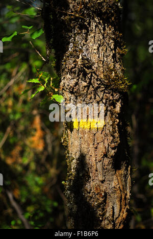 Marqueur jaune de Promenades et Randonnées (PR) sur le tronc de l'arbre, Vallée du Lot Banque D'Images