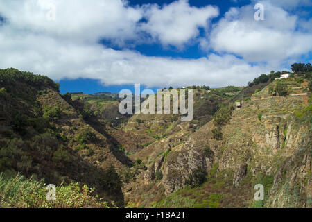 Gran Canaria intérieures, murs escarpés de Barranco de Moya Banque D'Images