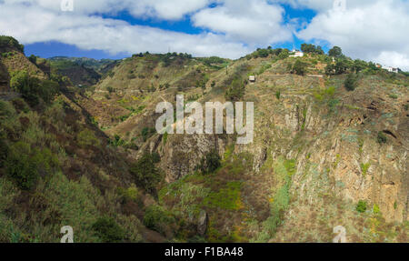Gran Canaria intérieures, murs escarpés de Barranco de Moya Banque D'Images