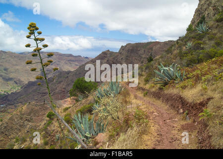 La Gomera, Canaries, début d'un chemin à partir de la Degollada de Peraza à San Sebastian de La Gomera Banque D'Images